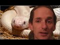 love it or hate it just rate it! drn, the best daily news show on the planet...... yes its like that. all these stories and more www.dailyreptilenews.com this and thats http herps and chicks www.foothillherps.com free!! reptile classifieds www.foothillherps.com thank you to brian and everyone at snakebytes tv www.snakebytes.tv twitter twitter.com friend me on face book www.facebook.com myspace www.myspace.com all these stories and more posted every day on daily reptile news www.dailyreptilenews.com the reptivlog http foot hill herps, forums, chat and more. www.foothillherps.comhttp