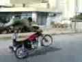 videos de zig zag