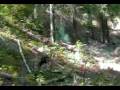 videos de small blast