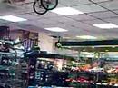 video mosquito au magasin eureka t2m video mosquito au magasin eureka t2m