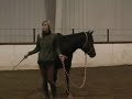 Jackie Johnson Trick Training Rear