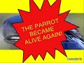 ltte-tamil-eelams-video-clip-ever-seen-this-place-nice.html