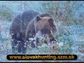 hunting-on-slovak.html
