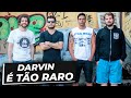 DARVIN - É tão raro