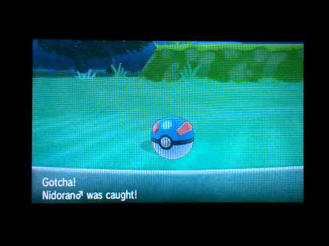 how to get honey in pokemon y