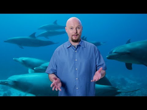 Could We Live Underwater?