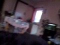 doberman attack