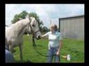 Sue-and-Minty