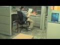 Maru the Employee