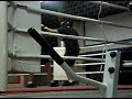 Boxe 23/5/8 Ro x Bruno