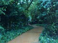 السياحة في ماليزيا rain in malaysia