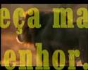 Conhecer a Deus
