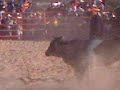 jaripero-los-catorce-nl.html