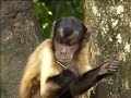 Suriname an exciting part of the Amazon