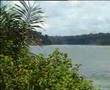 Suriname an exciting part of the Amazon