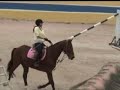 HIPISMO NÃO DESISTA DE SEUS SONHOS!!!