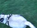 videos de polly & me!! and nadii 088
