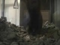 Rattie Rat Rattie Rat