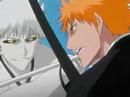 Bleach-Survival Bleach-Survival