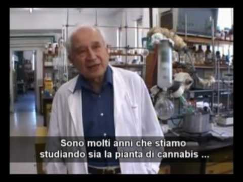 storia - Siete pregati di NON RICARICARE il film completo su altri account (spezzoni brevi OK, ma sempre citando questa fonte). Chi vuole può acquistare il DVD su luo...