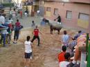 BOUS ALFARA