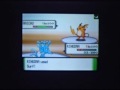 Pojo Battle Cup Round 1 - Wifi Battle: X4 vs !Sarah!