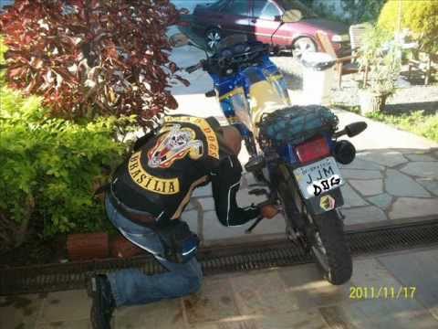 ROAD DOGS ROAD.wmv