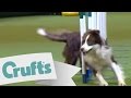 Crufts 2009 - Large Agility  Winner