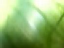 Gr�sse von der Arbeit