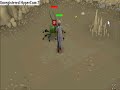slayer kalphite ownage
