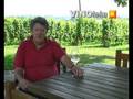 Å½eljko Suhadolnik: sorta Sauvignon