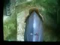 Twilight Princess: Zora's Domain Glitch