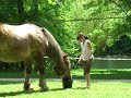 Mon ami Gilles Poète et Troubadour http://tinyurl.com/yz7eraf