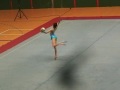 elena olmedo 2008 c d g dana