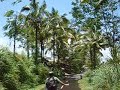 bike tour bike tour