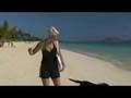 Beach Walk 640 - A Question of Companionship