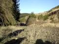 videos de WRC wales 2008