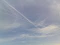 Macrofumigada en Málaga el día 30 de agosto.