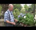 Tips en wetenswaardigheden voor uw tuin, balkon, terras en vijver. Gerard van Run, van Tuincentrum van Run uit Vught vertelt er over.De programma's zijn gemaakt in samenwerking met VTV1 en worden daar wekelijks uitgezonden.