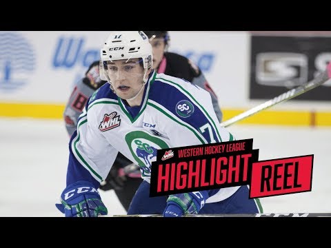 2017-18 HIGHLIGHT REEL | Tyler Steenbergen