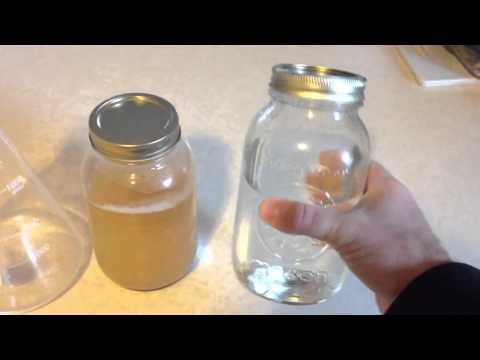 how to harvest wild yeast