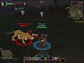 war   witch elf