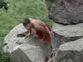 WISCONSIN WEHNER (ACTION SCENE)