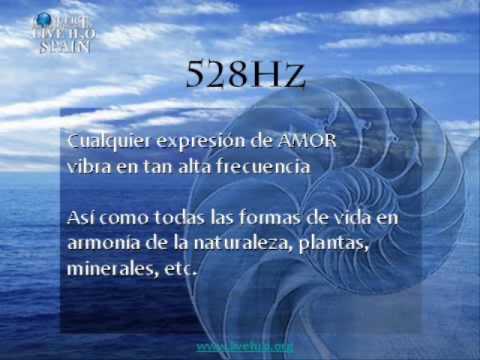 Imagen de previsualización de YouTube