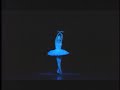 Nina Ananiashvili dances The Dying Swan (vaimusic.com) Nina Ananiashvili dances The Dying Swan (vaimusic.com)