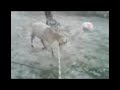 lafoot con juana