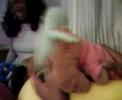 Zwibble Dibble Fucks Little Pink Riding Hood Zwibble Dibble Fucks Little Pink Riding Hood