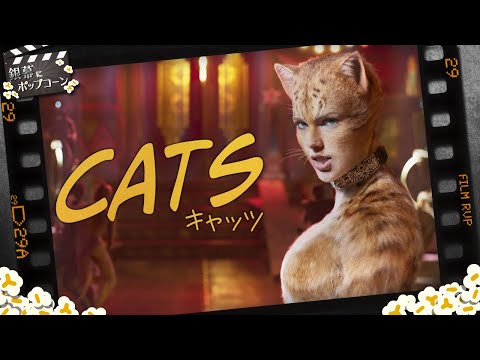 動画