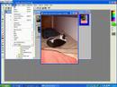 cropping digital photos
