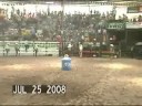 Jaripeo fiestas julias 2008